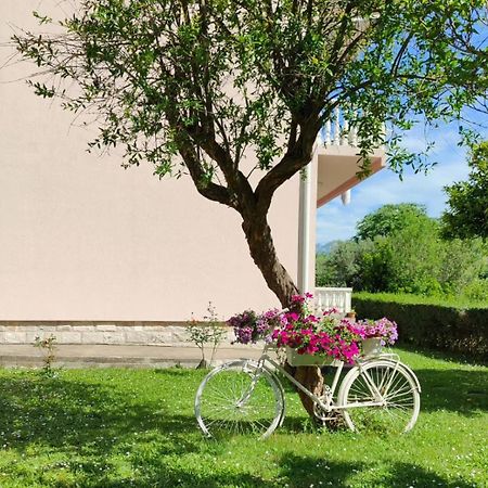 Apartman Dolcerosa Kotor Exterior photo
