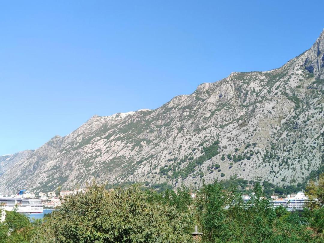 Apartman Dolcerosa Kotor Exterior photo