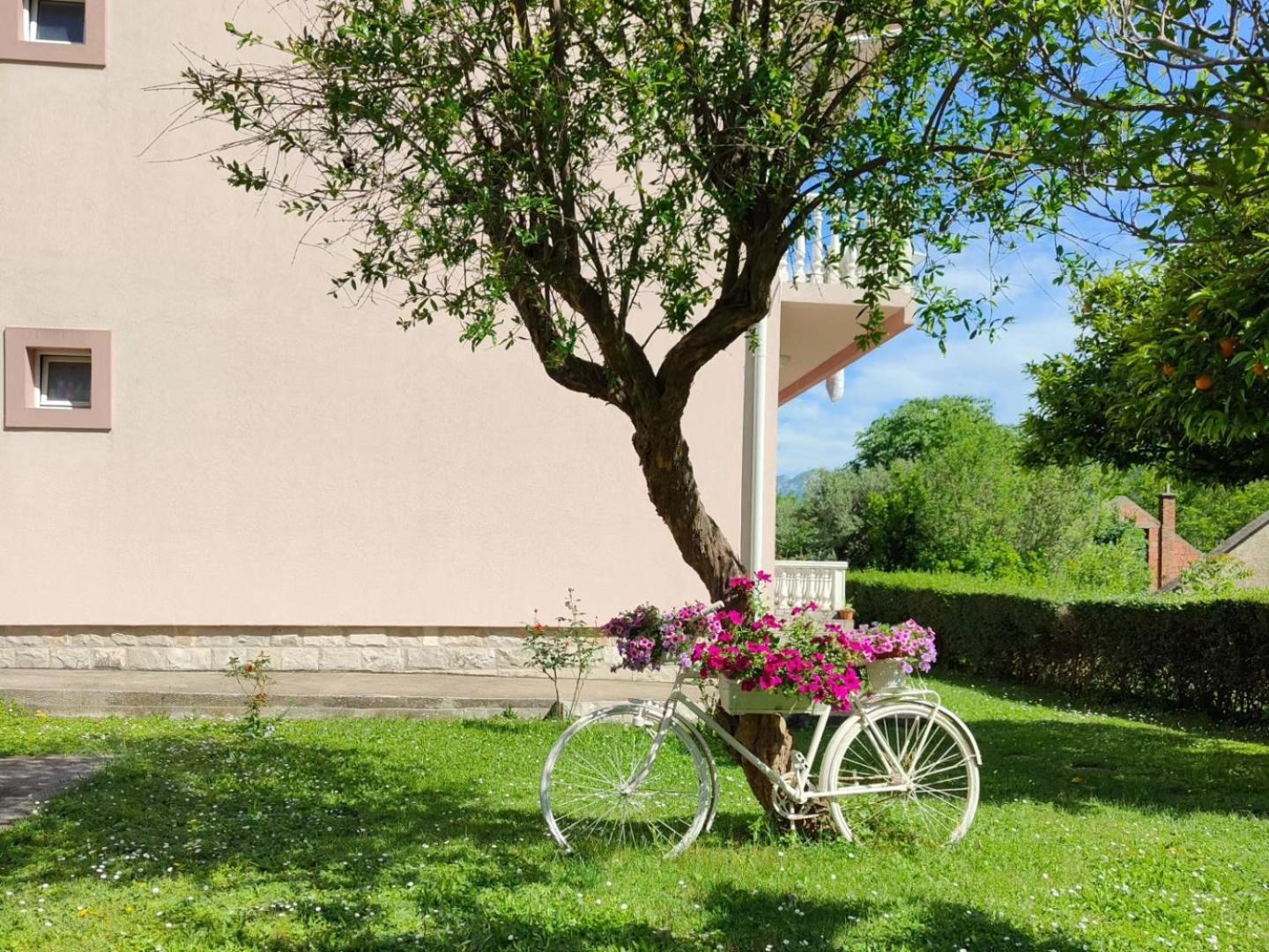 Apartman Dolcerosa Kotor Exterior photo